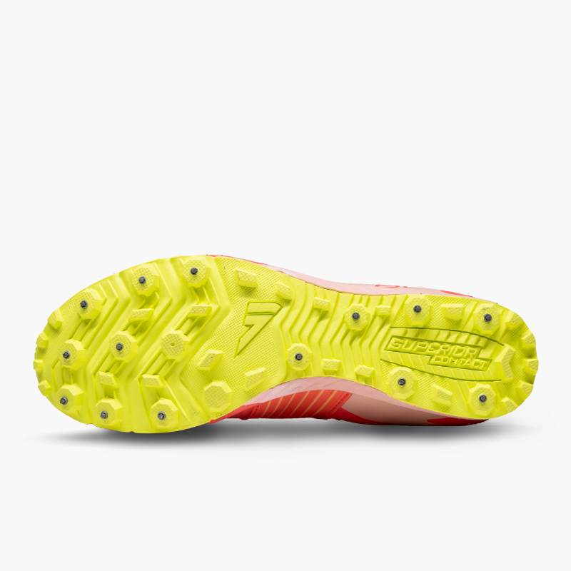 VJ Bold Sugar - Image 5